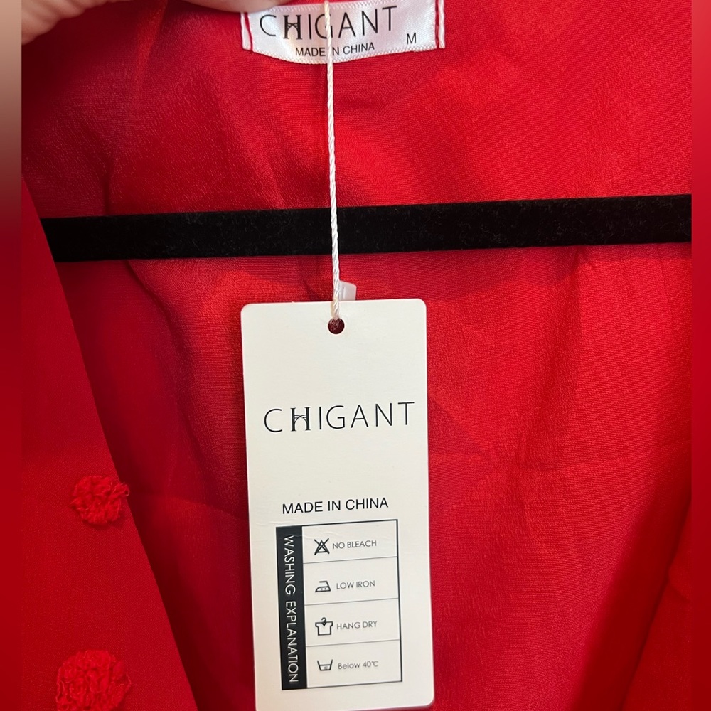 NWT Chiffon Ruffle Dress - Picture 4 of 5